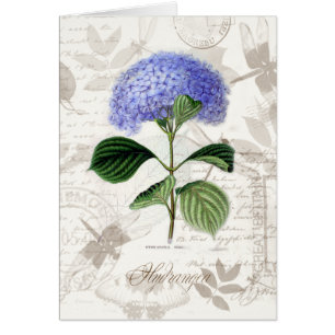 Vintage Hydrangea