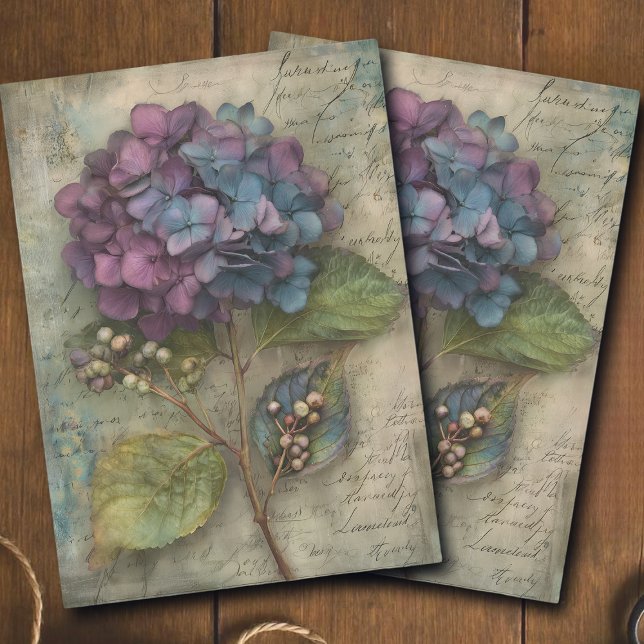 Vintage Hydrangea Botanical Art Decoupage Tissue Paper (Creator Uploaded)