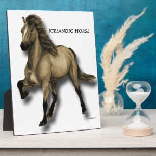 Vintage Icelandic Plaque