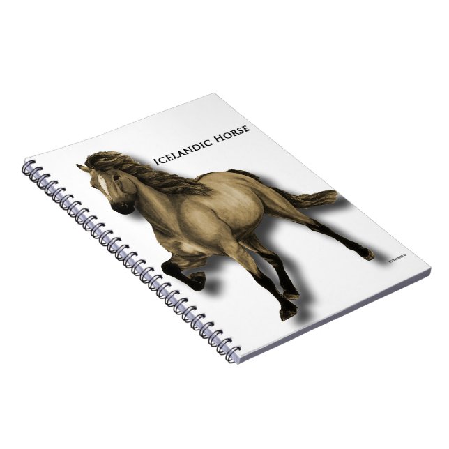 Vintage Icelandic Spiral Notebook (Right Side)