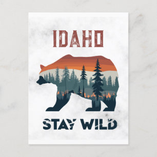 Vintage Idaho Bear Stay Wild Travel Postcard