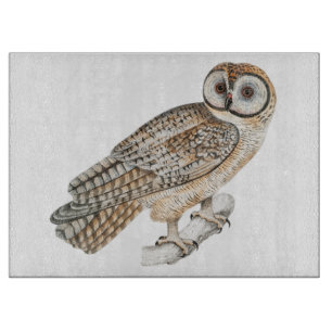 Vintage Illustrated Owl on Glass Cutting Board