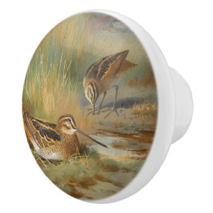 Vintage illustrated snipe birds, Birds Ceramic Knob