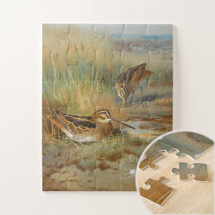 Vintage illustrated snipe birds, Birds Jigsaw Puzzle