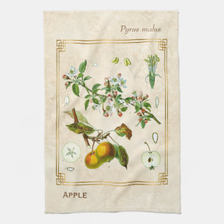 Vintage Illustration Apple Fruit Botanical Floral Tea Towel