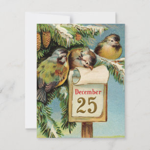 Vintage illustration birds cute Christmas card 