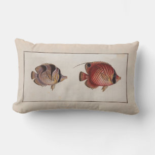 Vintage Illustration Butterfly Fish Lumbar Cushion