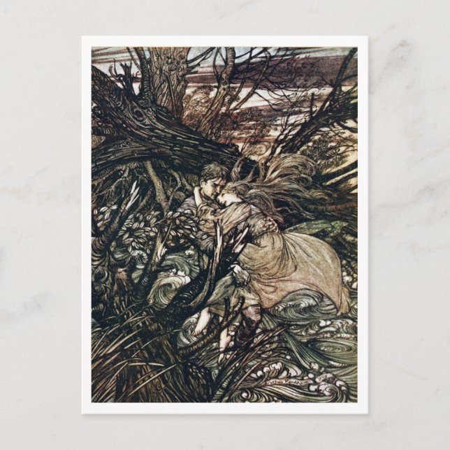 Vintage Illustration by Arthur Rackham Undine Postcard (Front)