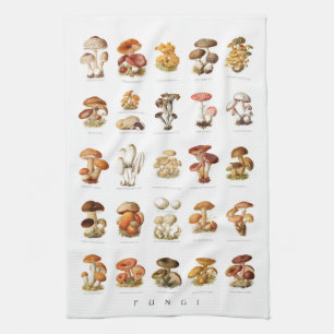 Vintage illustration chart with a selection of com tea towel