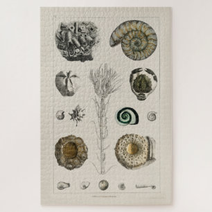 VINTAGE ILLUSTRATION FOSSILS CHART JIGSAW PUZZLE