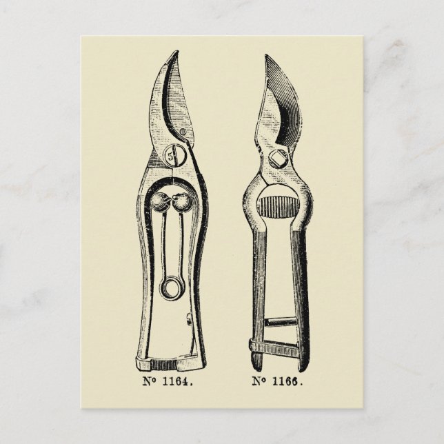 VINTAGE ILLUSTRATION Gardening Tool Pruners P Postcard (Front)
