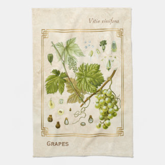 Vintage Illustration Green Grape Fruit Botanical Tea Towel