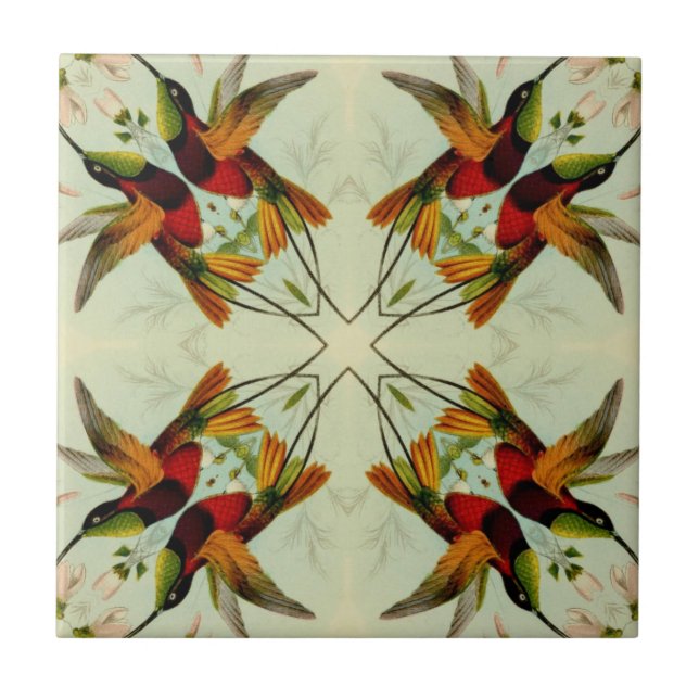 Vintage Illustration Hummingbirds and Flowers Tile (Front)