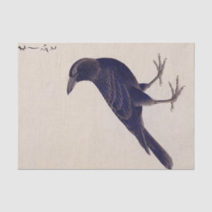 Vintage illustration: Jungle crow Tissue Paper