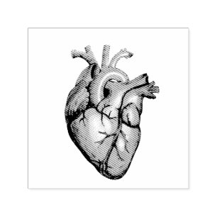 Vintage Illustration of a Heart Self-inking Stamp