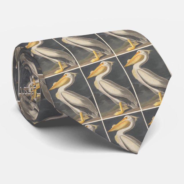 Vintage Illustration of a White Pelican (1836) Tie (Rolled)