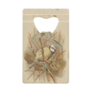 Vintage Illustration of Bluetit