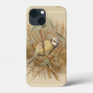 Vintage Illustration of Bluetit iPhone 13 Mini Case