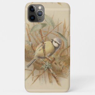 Vintage Illustration of Bluetit Case-Mate iPhone Case