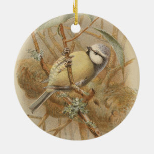 Vintage Illustration of Bluetit Ceramic Tree Decoration