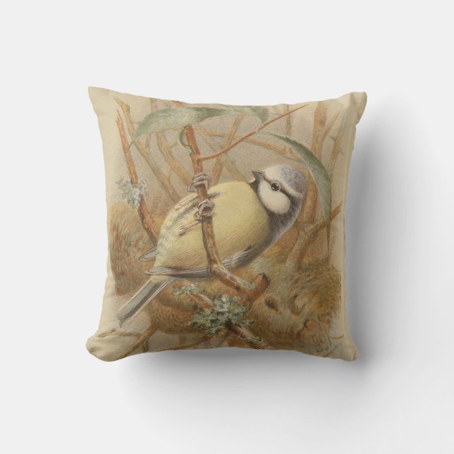 Vintage Illustration of Bluetit Cushion (Front)