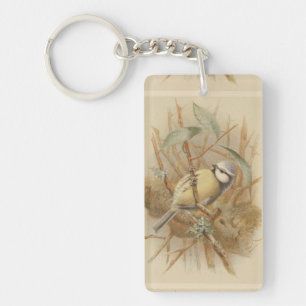 Vintage Illustration of Bluetit Key Ring