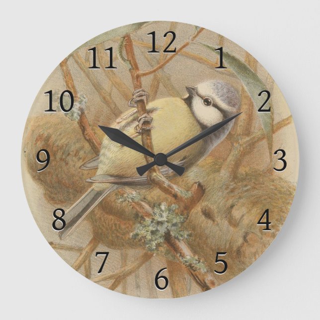 Vintage Illustration of Bluetit Large Clock (Front)