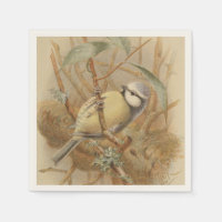 Vintage Illustration of Bluetit