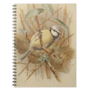 Vintage Illustration of Bluetit Notebook