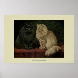 Vintage Illustration of Cats Poster