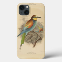 Vintage illustration of European Bee-Eater