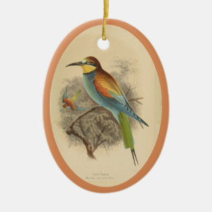 Vintage illustration of European Bee-Eater Ceramic Ceramic Tree Decoration