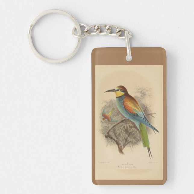 Vintage illustration of European Bee-Eater Key Ring (Front)