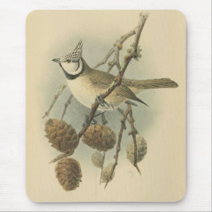 Vintage Illustration of European Crested Tit Mouse Pad