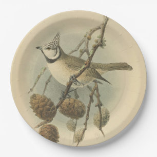 Vintage Illustration of European Crested Tit Paper Plate