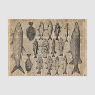 Vintage Illustration of Fishes Over Old Book Page Tissue Paper