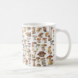 Vintage illustration of mushrooms coffee mug