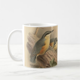 Vintage Illustration of Nuthatch Coffee Mug