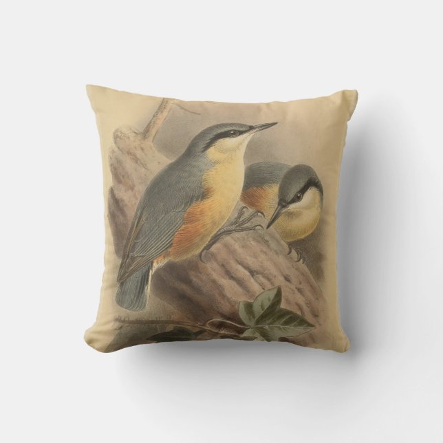Vintage Illustration of Nuthatch Cushion (Front)
