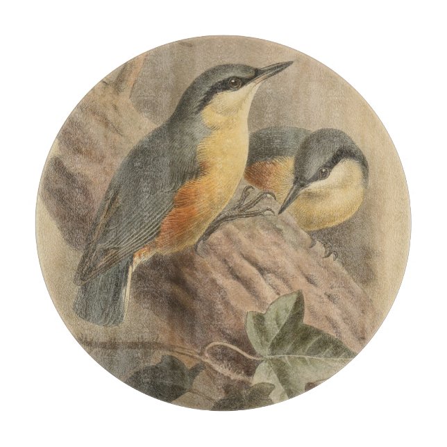 Vintage Illustration of Nuthatch Cutting Board (Front)