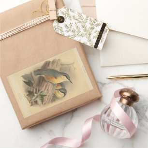 Vintage Illustration of Nuthatch Rectangular Sticker