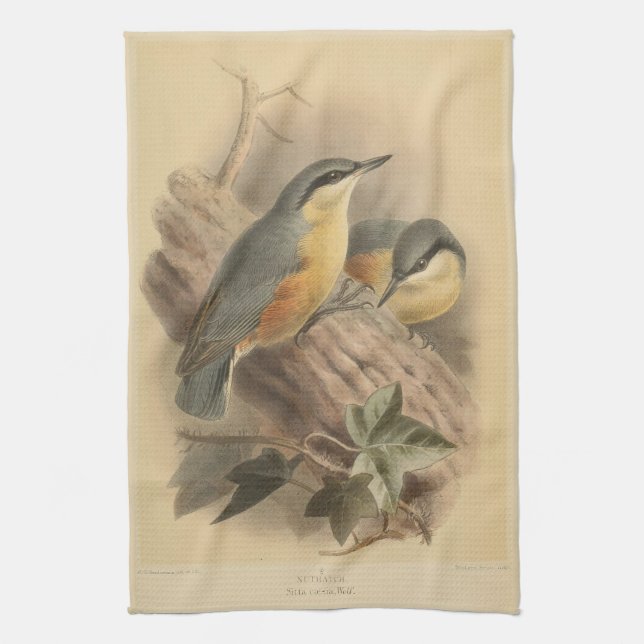 Vintage Illustration of Nuthatch Tea Towel (Vertical)