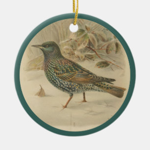 Vintage illustration of starling ceramic tree decoration