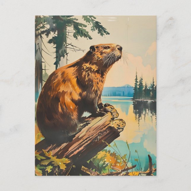 Vintage Illustration of the Beaver Postcard (Front)