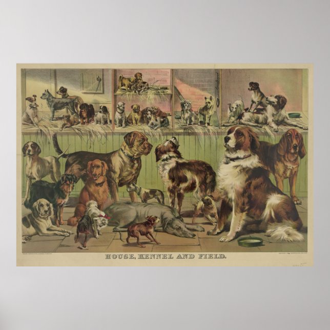 Vintage Illustration of Various Dog Breeds (1893) Poster (Front)