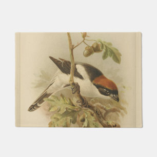 Vintage Illustration of Woodchat Shrike Doormat