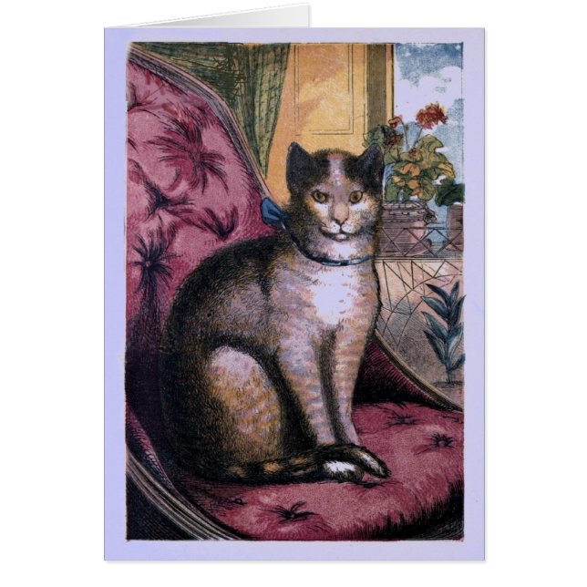 Vintage Illustration "Our Cat" Card (Front)