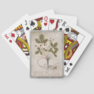 Vintage Illustration Playing Cards - Strawberry