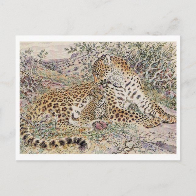 Vintage Illustration Postcard (Front)