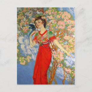 Vintage Illustration Postcard